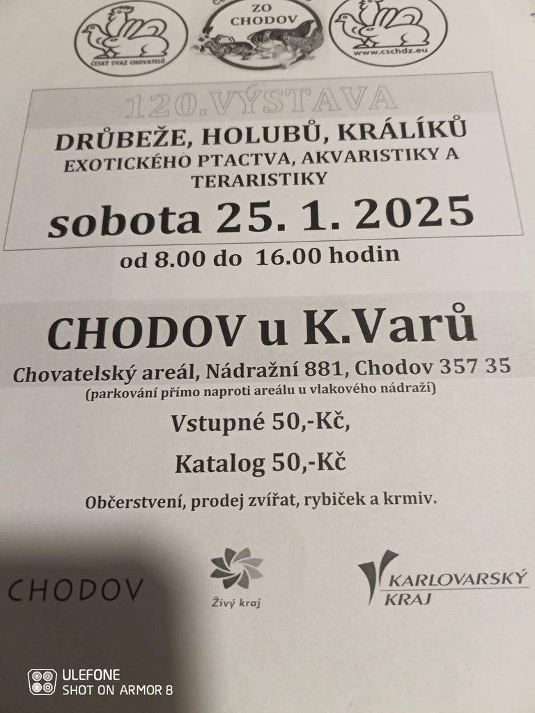 Výstava Chodov