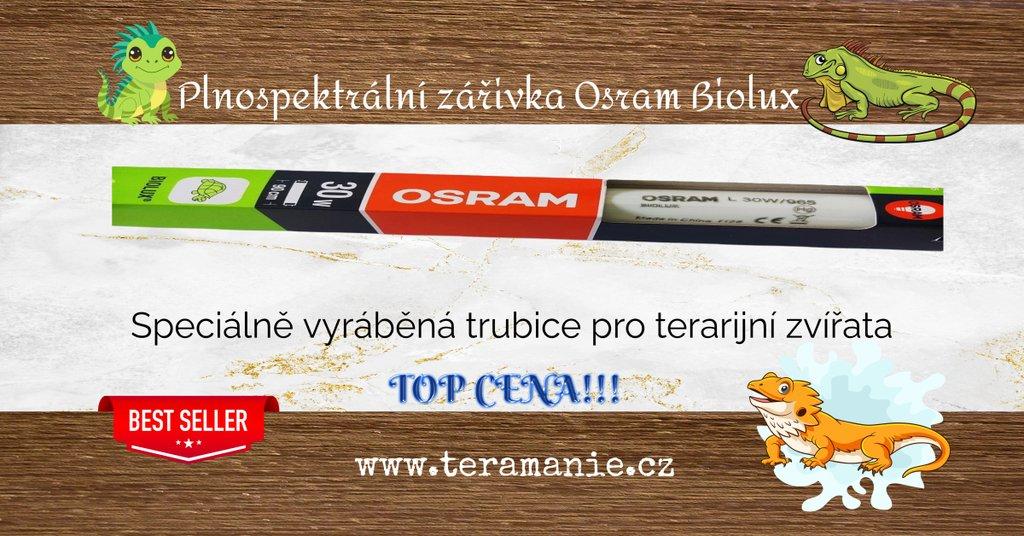 Terárium ,osram biolux,agama vousata