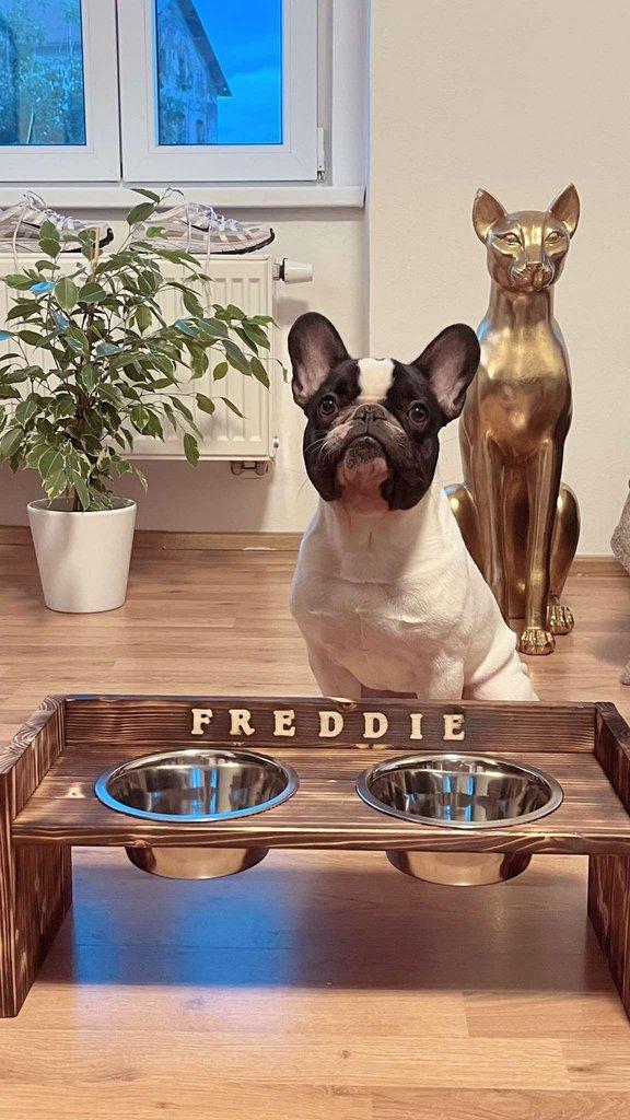 Dog bar