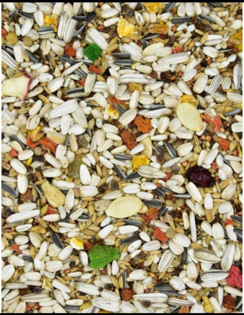 Týniště nad Orlicí 23. 11. 2025 přijímáme objednávky.