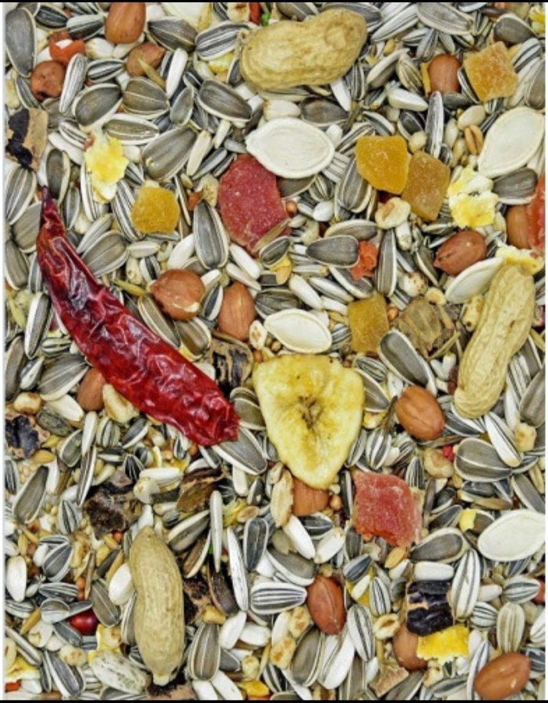 Týniště nad Orlicí 23. 11. 2025 přijímáme objednávky.