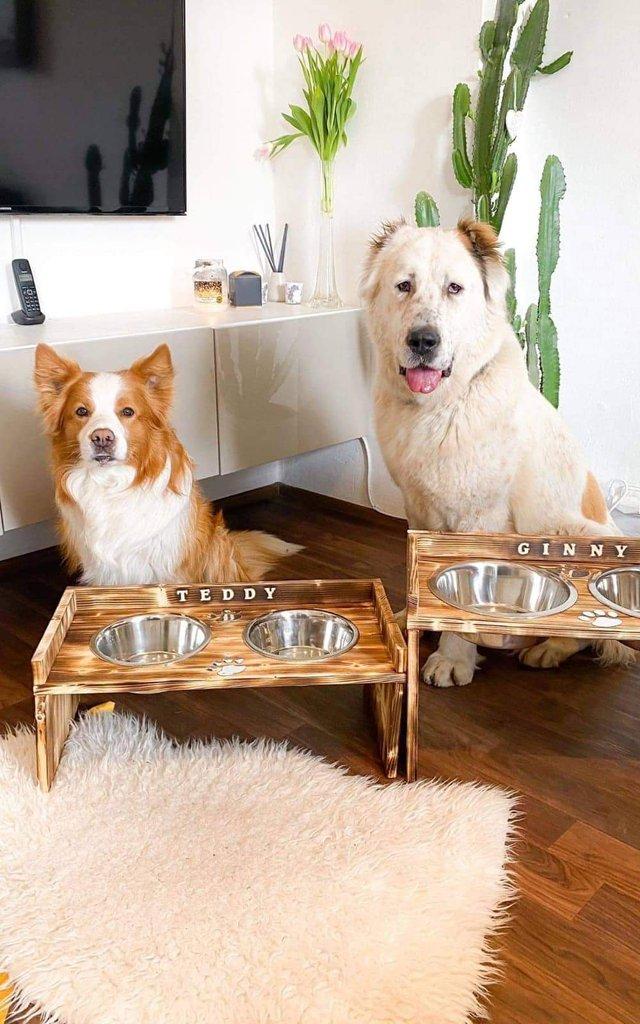 Dog bar