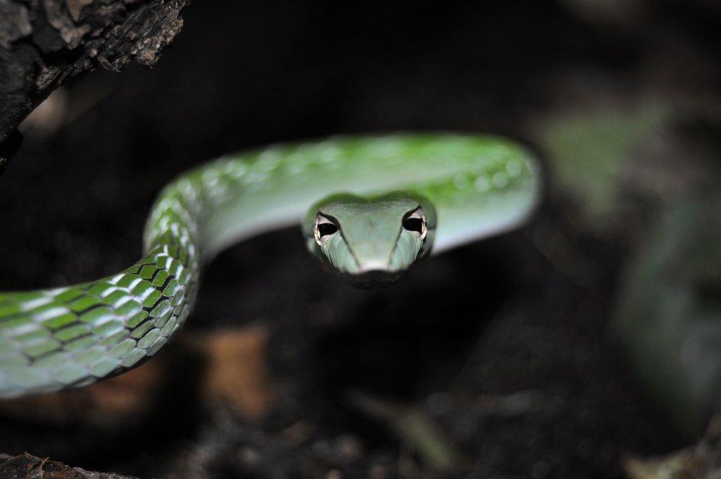 Nemám, potřebuji -