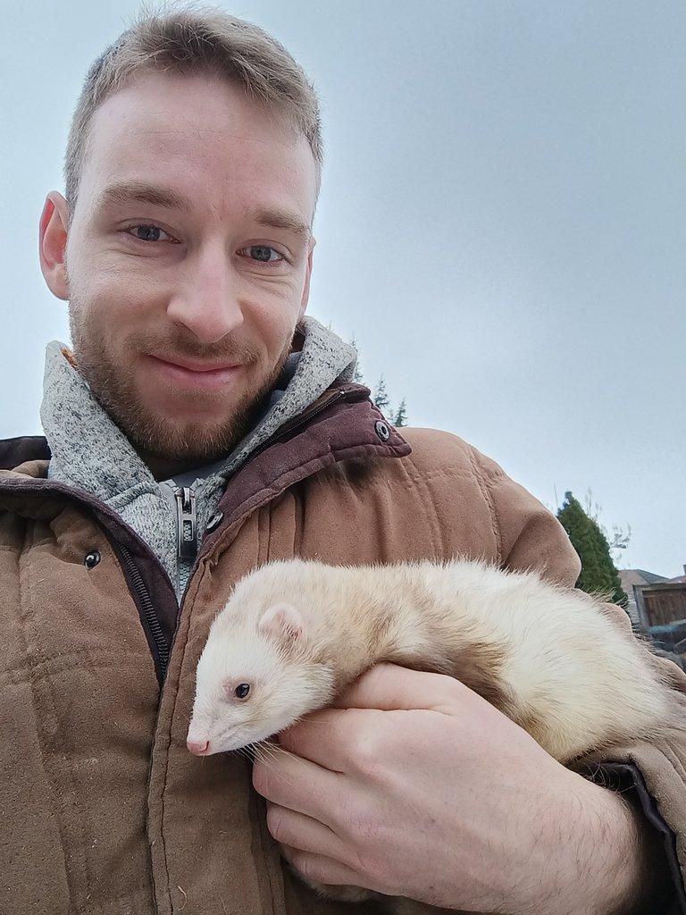 Prodám cca 2letou fretkuhodná, nekouše, spíš bázlivá