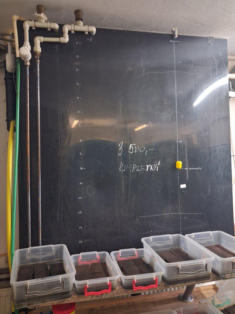 Akvarijní pěstírna