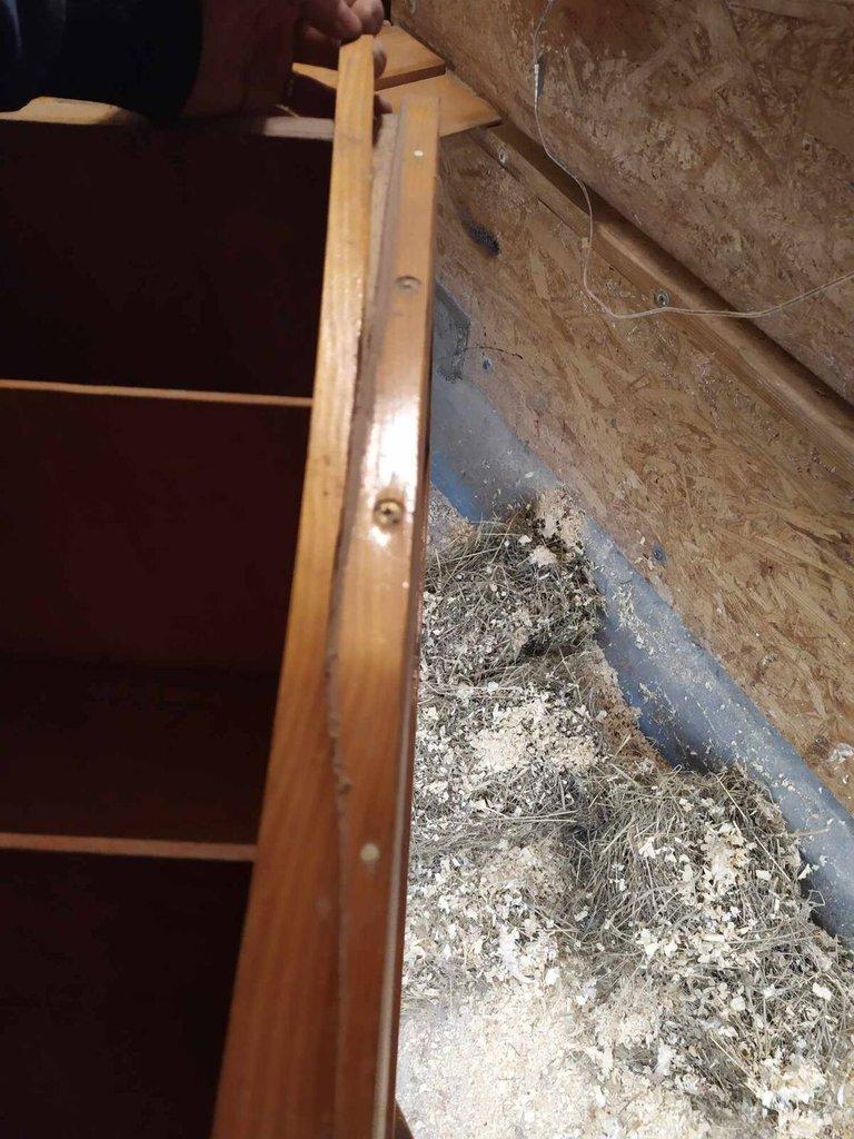 Přepravka na zdrobnělé slepice