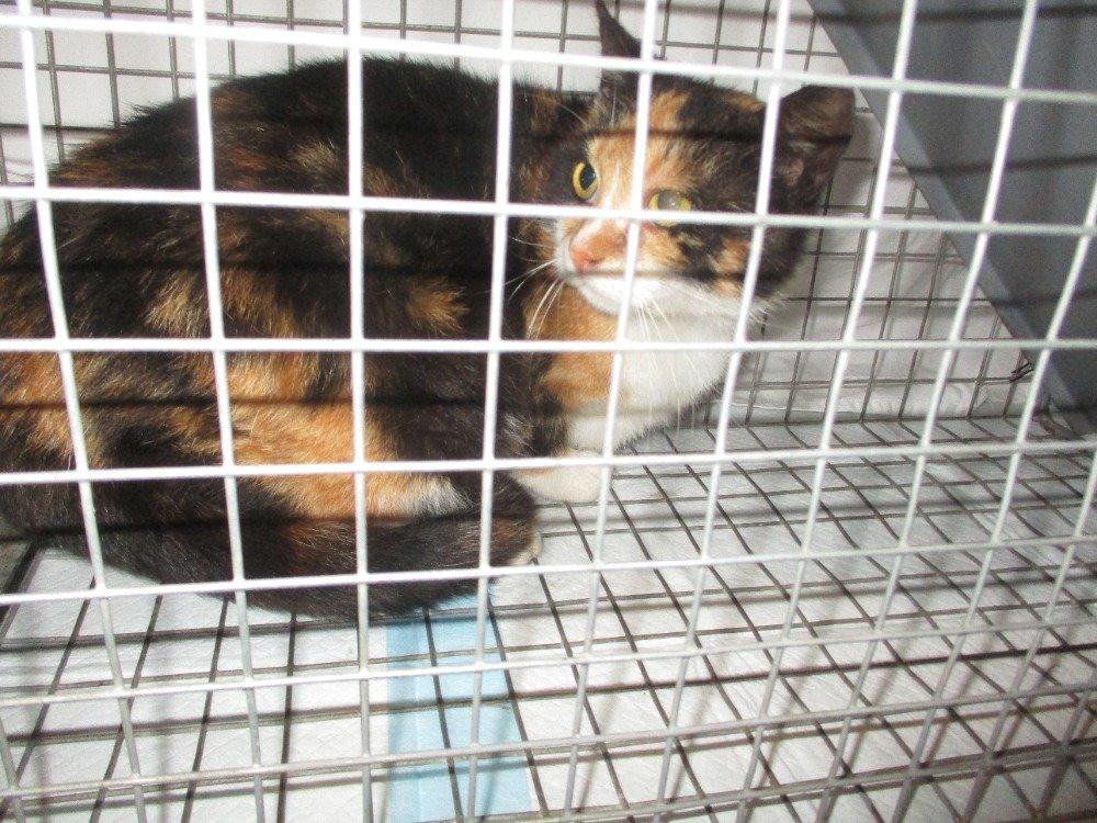 Bezpečí a lásku pro Mínu