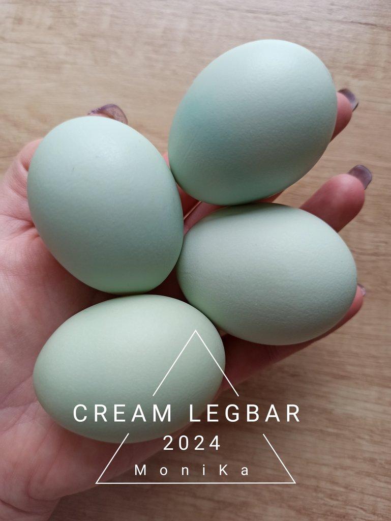 Násadová vajíčka Cream legbar