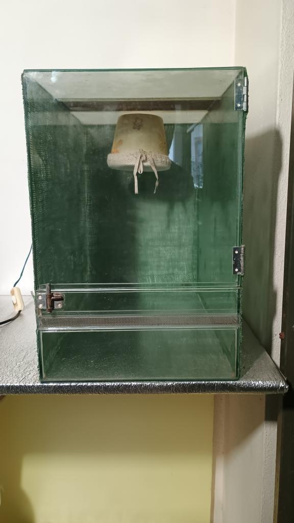 Prodám terárium š - 30, h - 55, v - 45 cm