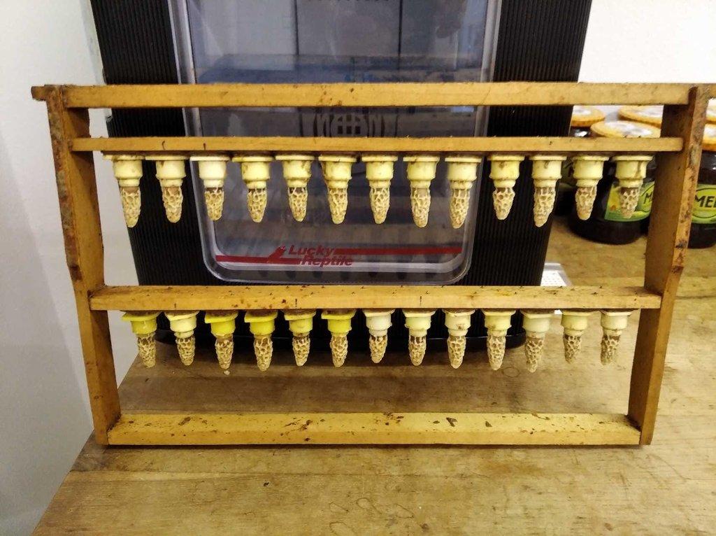 Vyzimované oddělky