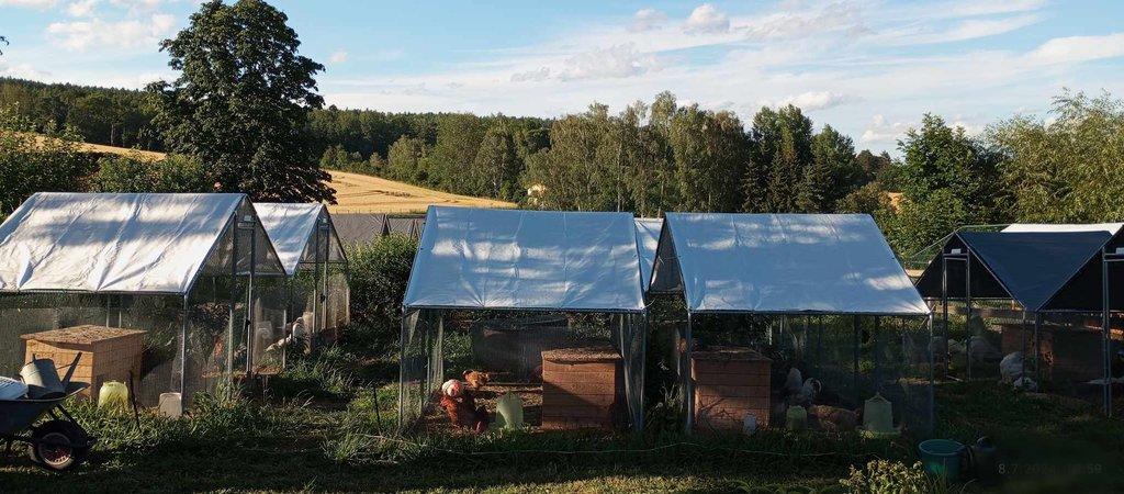 Prodej letošních KRŮT 🦃🦃