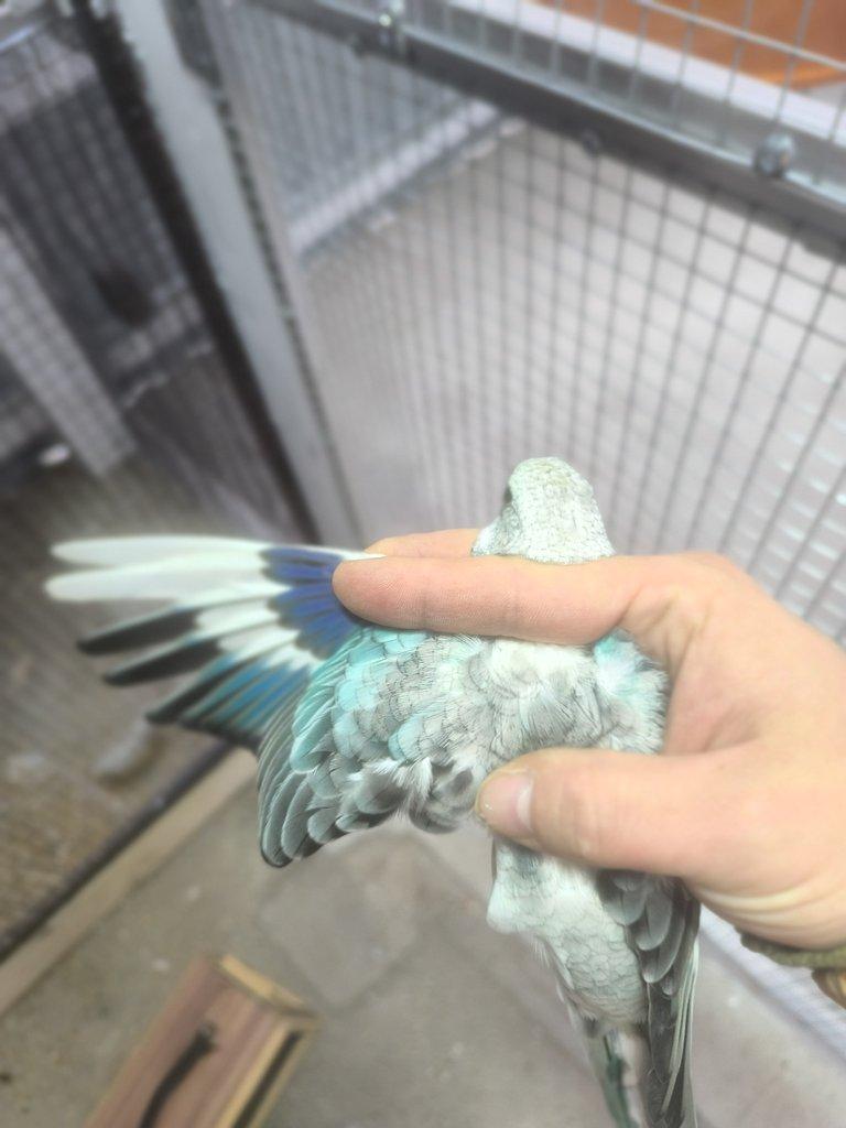 Poslední loňské kusy