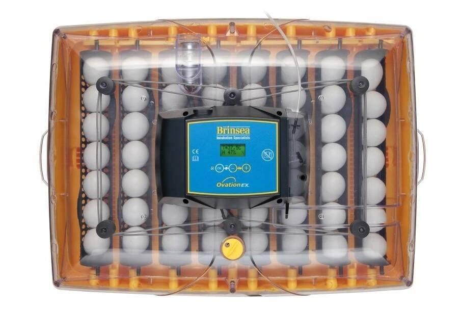 Líheň Brinsea Ovation 56 EX