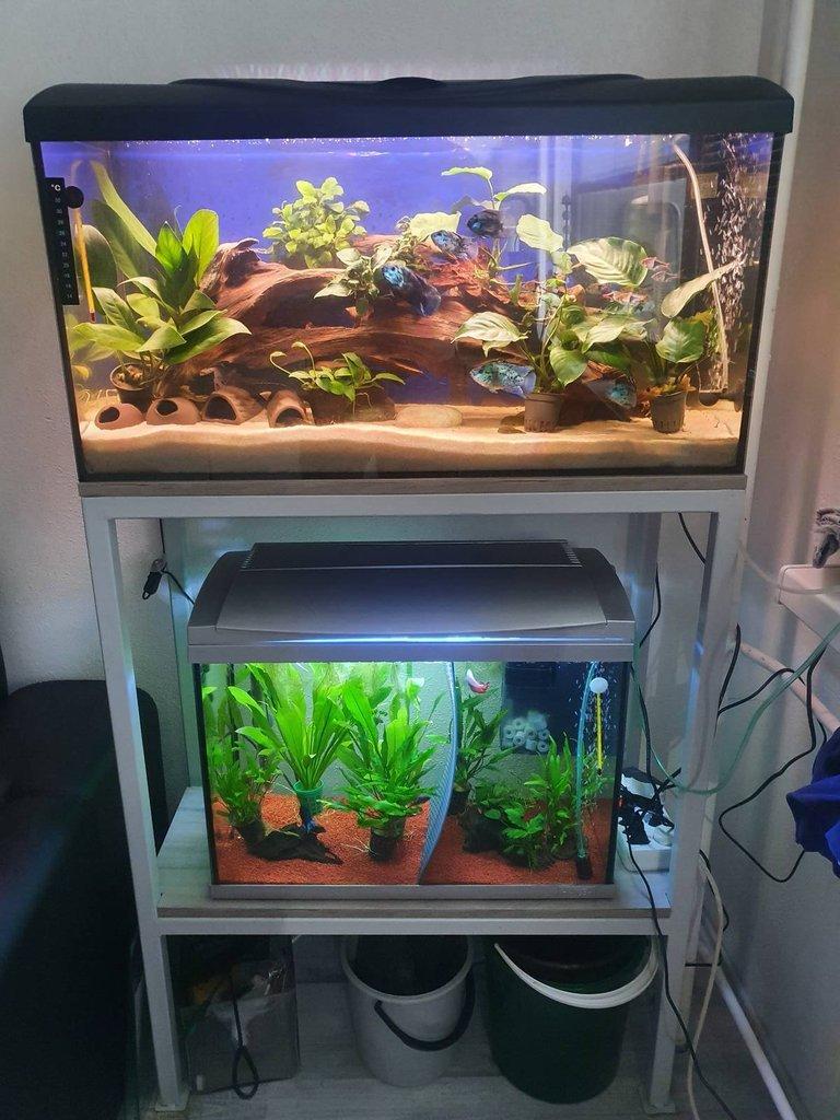 Akvarijní Stojan a Dvě Akvária....