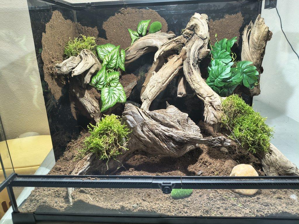 Terarium 60x45x45
