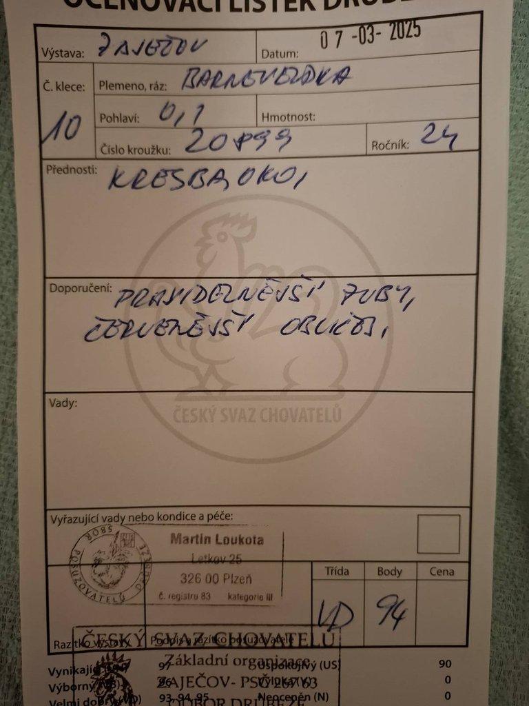 ZO ČSCH Mníšek pod Brdy - odprodej zvířat - Barneveldka modře lemovaná