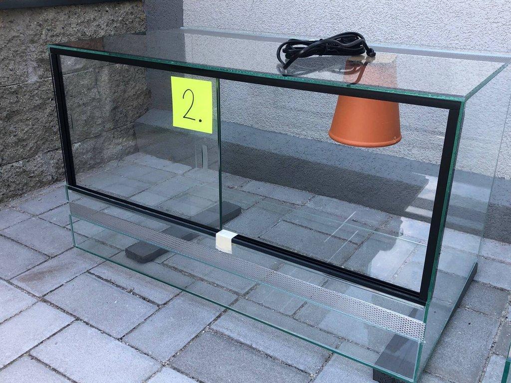Gekončík noční