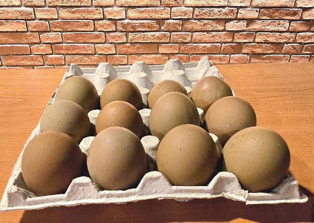 Aramara Olivová vejce