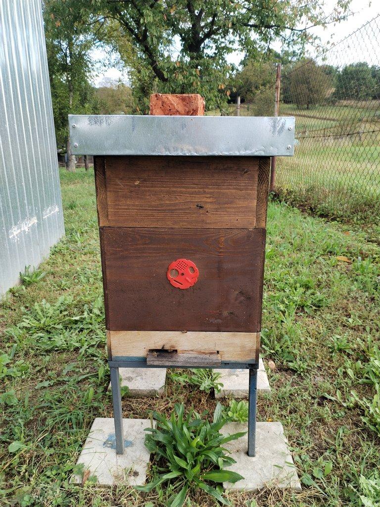 Prodám oddělky i s úly