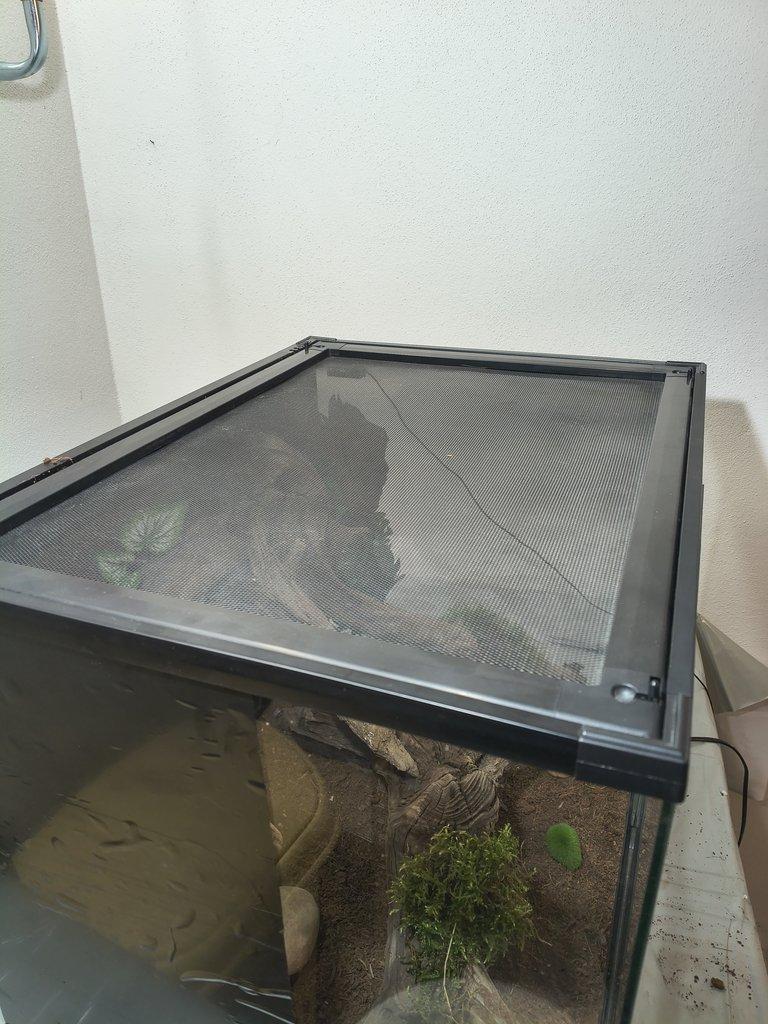 Terarium 60x45x45