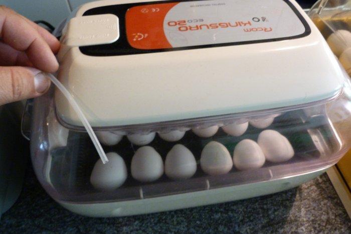 Líheň RCom King Suro 20 Eco