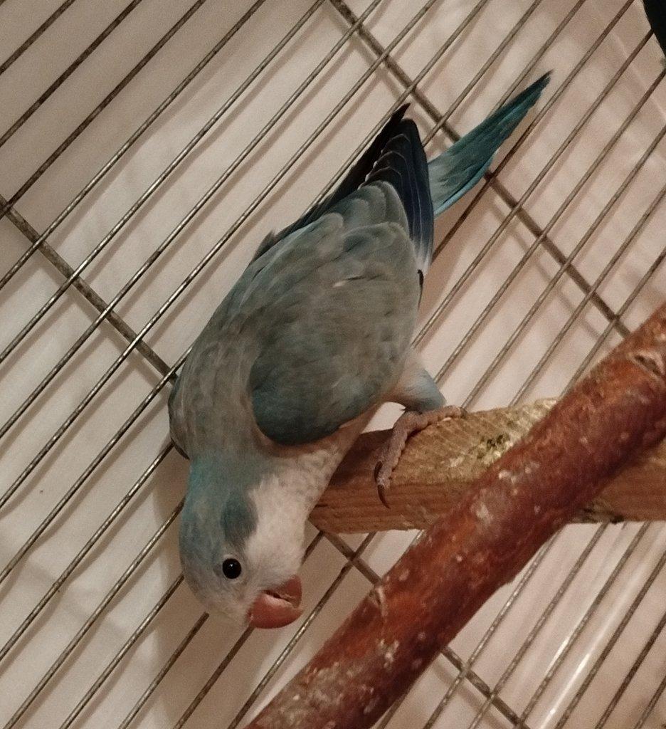 Šuchová Kristýna