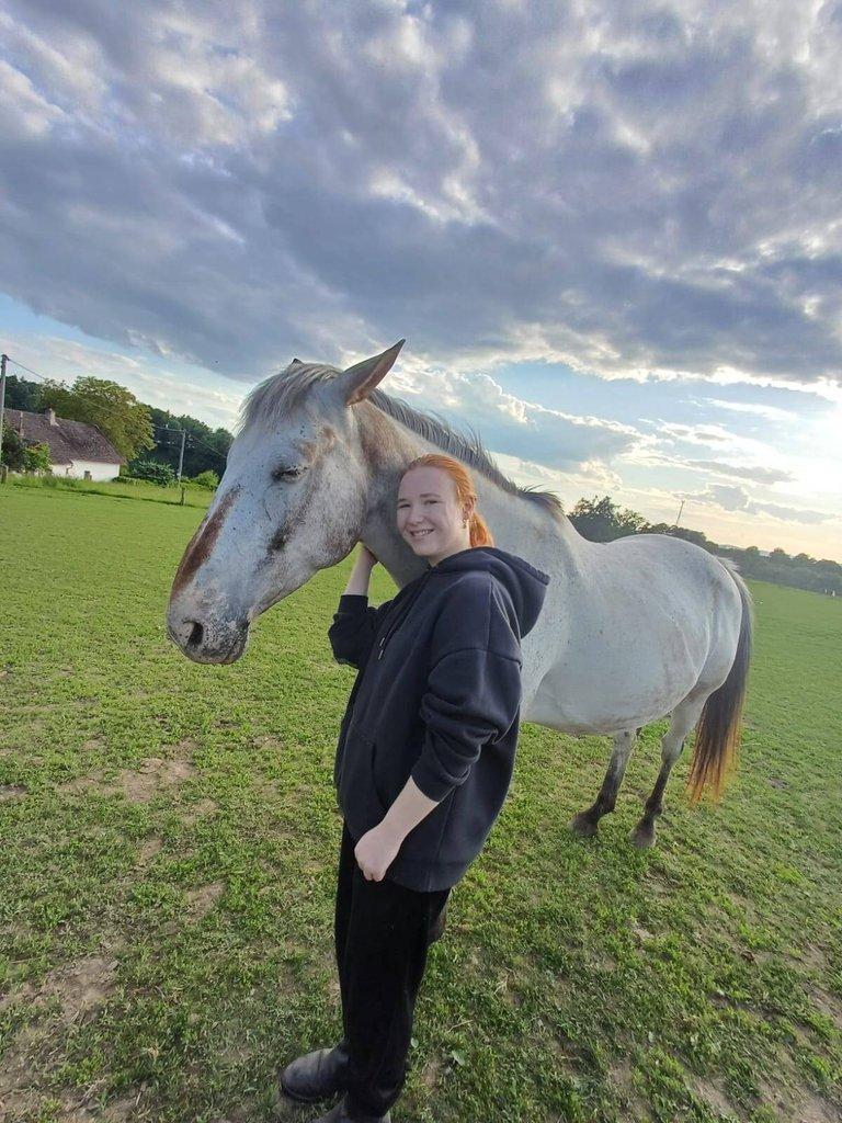 Prodám 10-letou kobylku ApHC/ČT