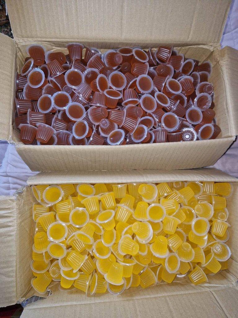 Beetle Jelly -  Nova varka ZE Praha 7.3 + Brno 15.3.