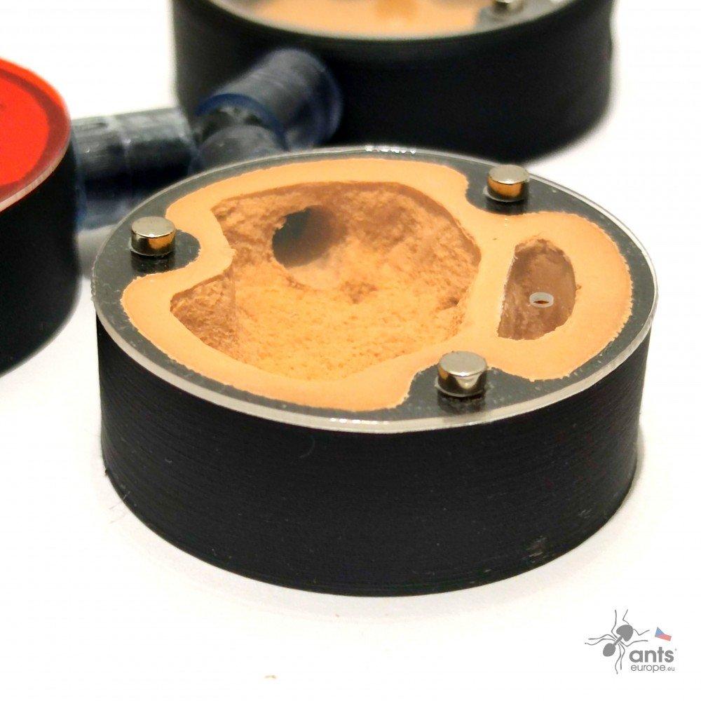 Formikárium ANTcore MINI