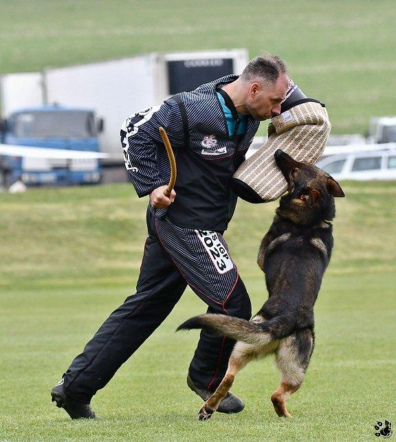 Německý ovčak štěnata z pp