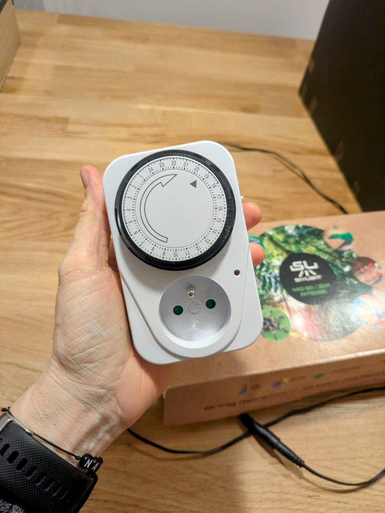 Terárium s rostlinami