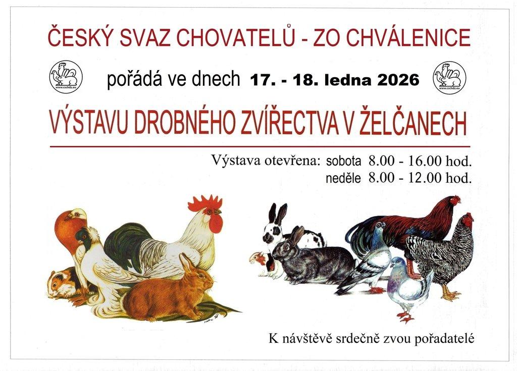 Výstava ZO ČSCH Chválenice