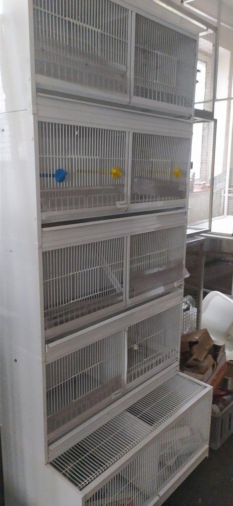 Klece na drobne ptactvo