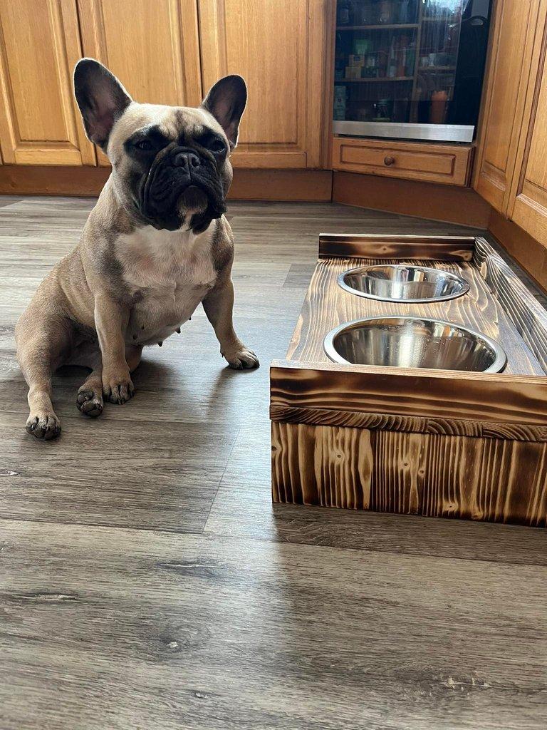 Dog bar
