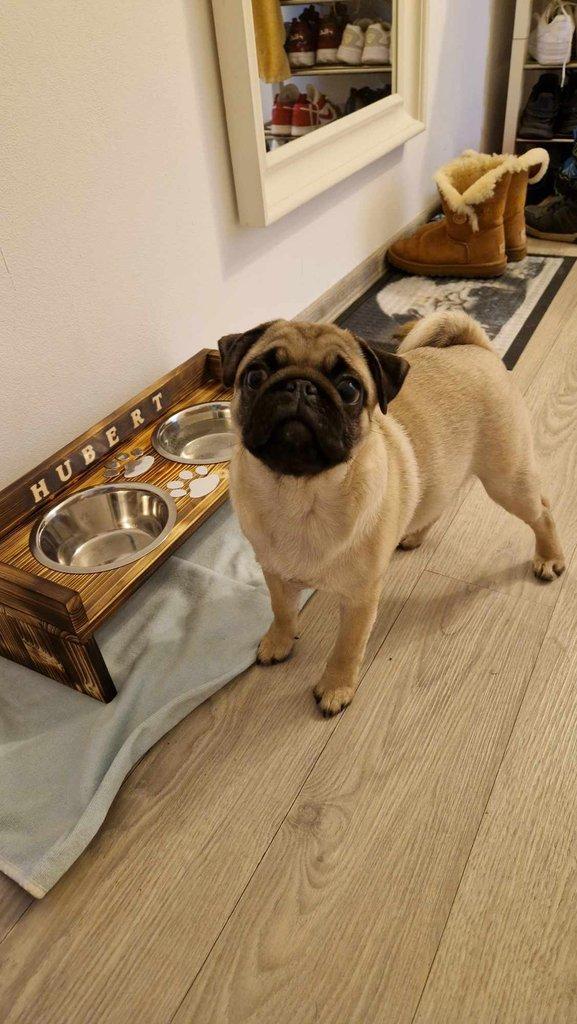Dog bar