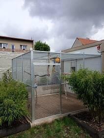 Výroba klecí, voliér, sestavy boxů, plastové budky, krmné pulty, prodej materiálu a jiné