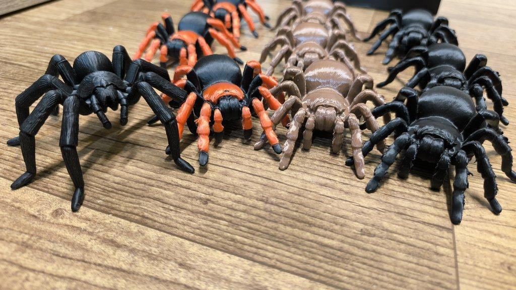 Sklípkani Filamentopelma