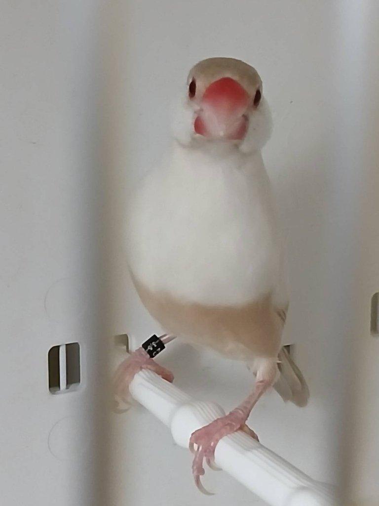 Vyměním