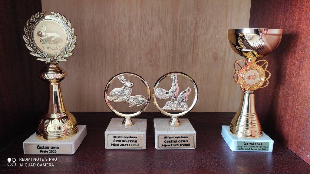 VELSUMKA ZDROBNĚLÁ REZAVĚ KOROPTVÍ  NV