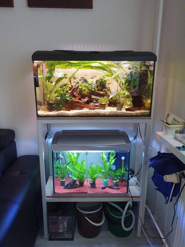 Akvarijní Stojan a Dvě Akvária....