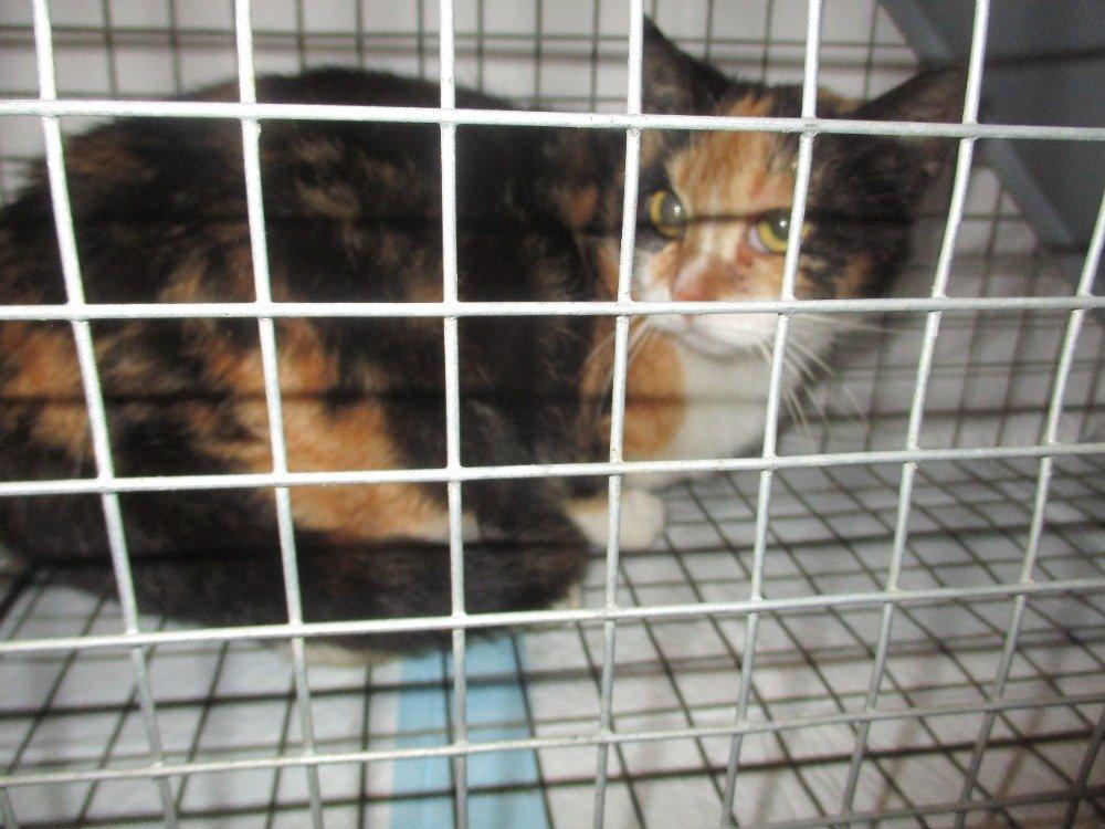 Bezpečí a lásku pro Mínu