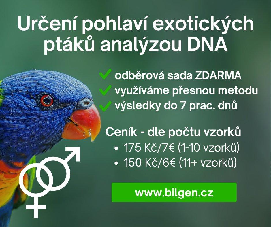 Určení pohlaví analýzou DNA  - BILGEN s.r.o.