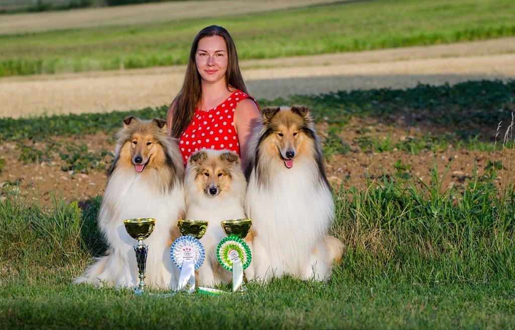Dlouhosrstá kolie - štěňátka s PP
