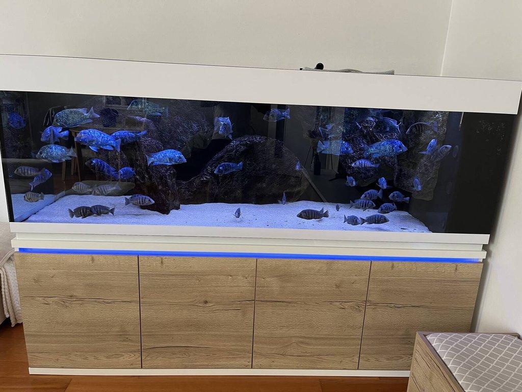 Prodám akvárium 1000 litrů, komplet