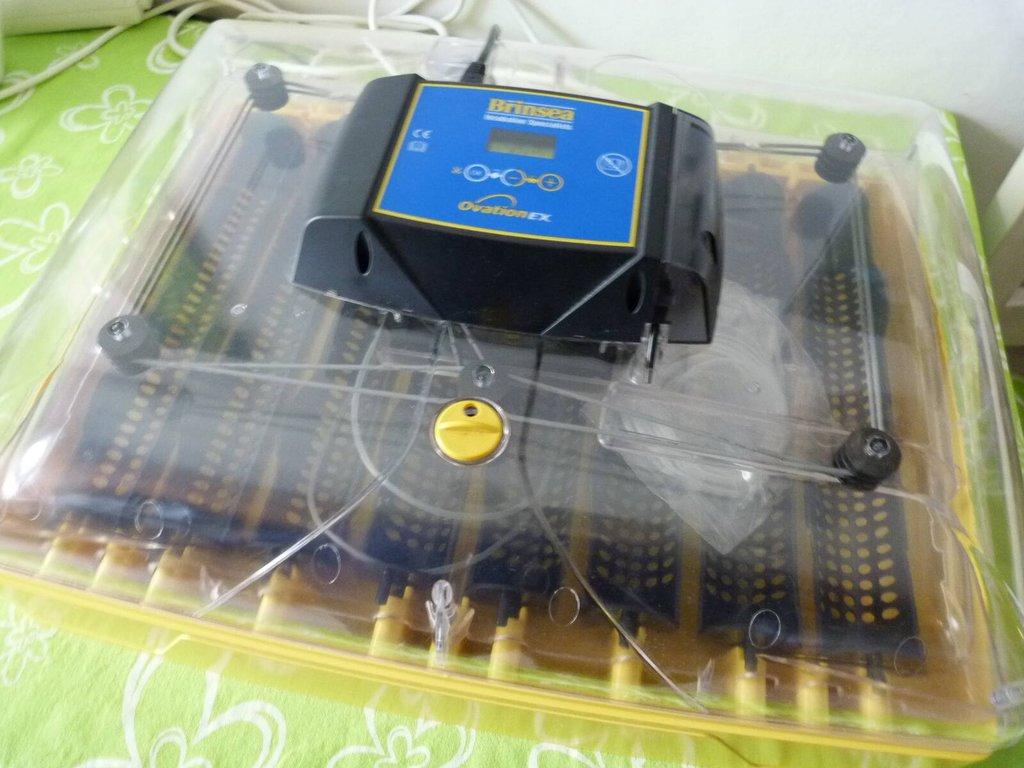 Líheň Brinsea Ovation 56 EX