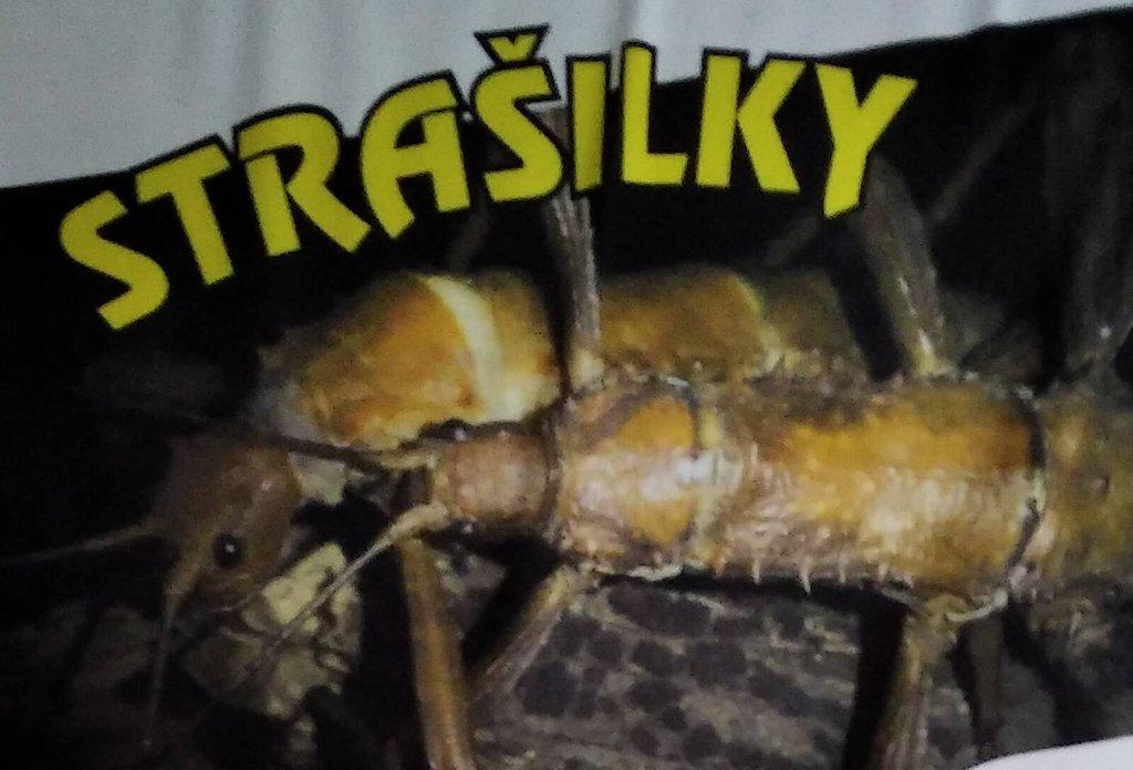 Strašilky a pakobylky