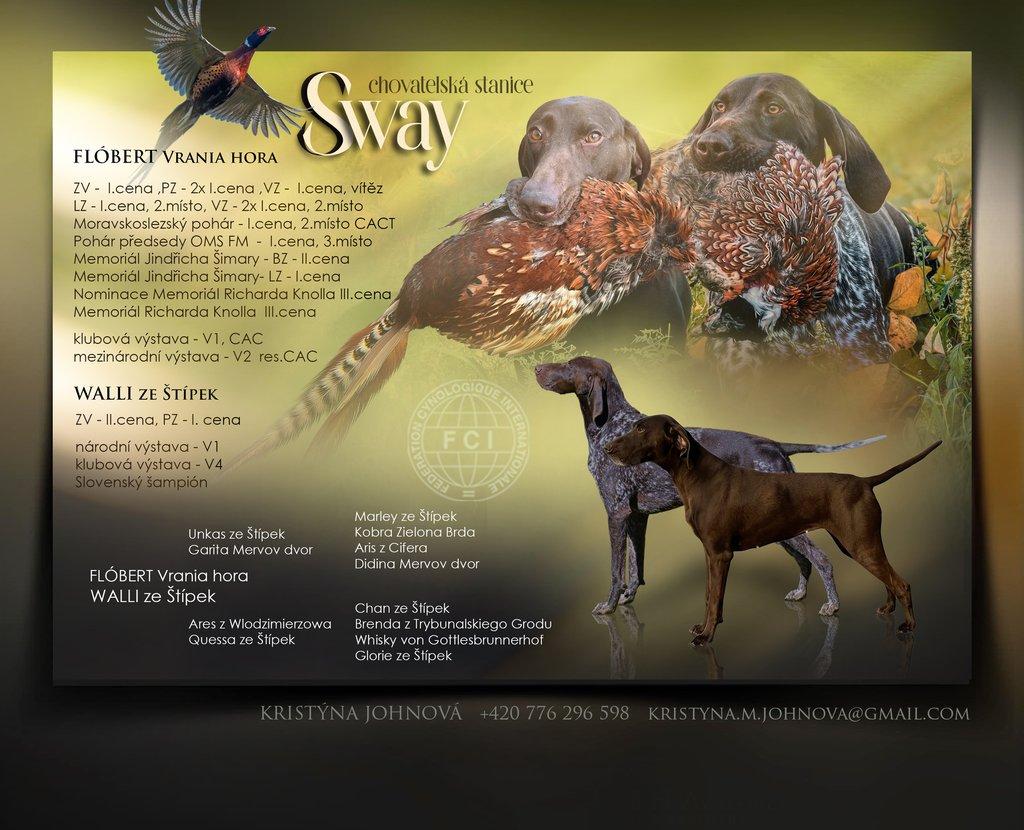 Německý krátkosrstý ohař - štěňata s PP