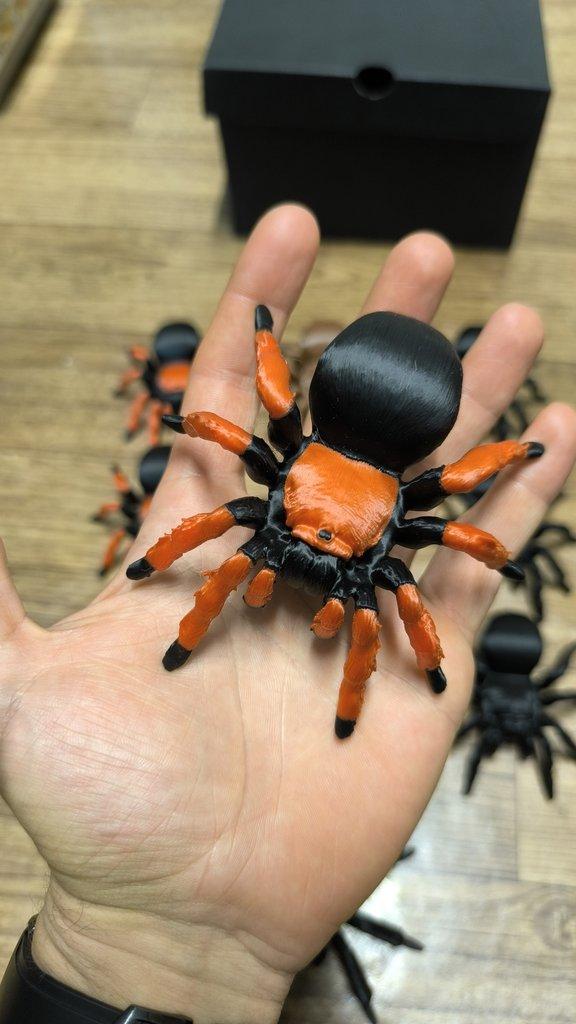 Sklípkani Filamentopelma