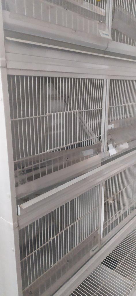 Klece na drobne ptactvo