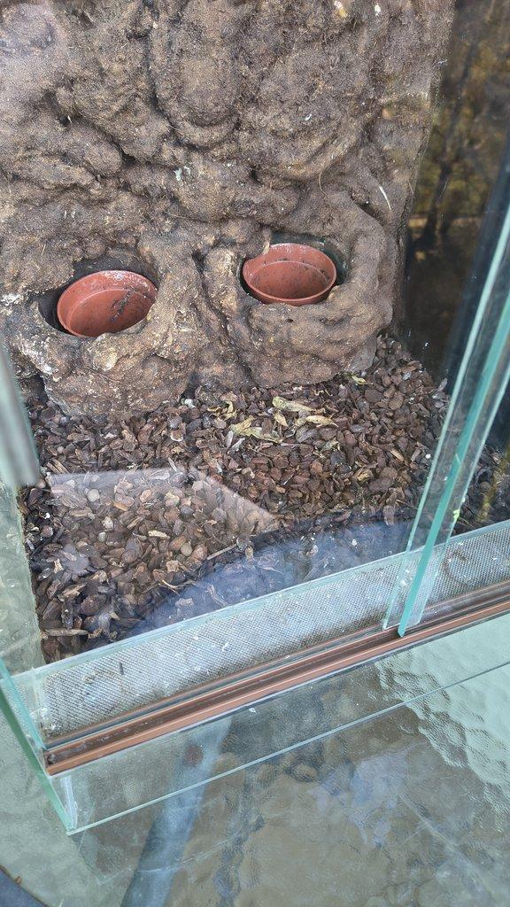 Terárium 65x40x40cm